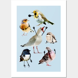 Birds with Arms Posters and Art